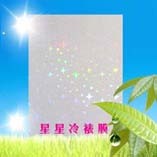 供应冷裱膜